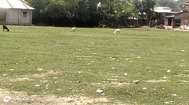 ভোলাহাটের বিনোদন ও সৌন্দর্য বিকাশে নতুন সম্ভাবনার দুয়ার মুন্সিগঞ্জ মাঠ ও মহানন্দার তীর