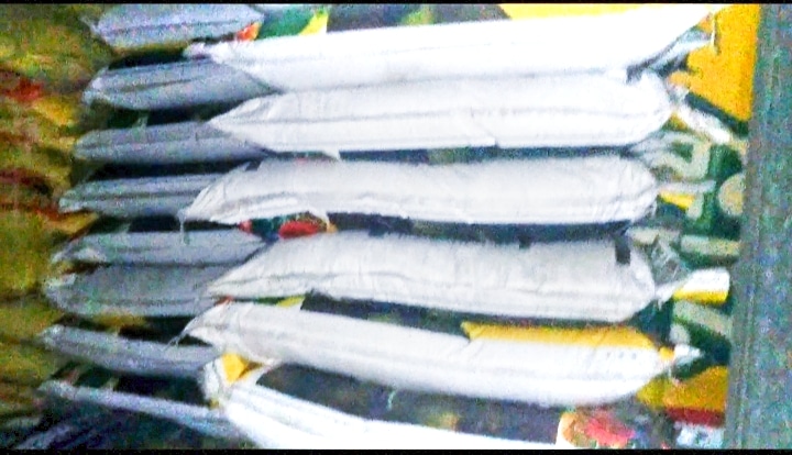 ভোলাহাটে জৈবসার প্রয়োগের পর কৃষকের ২ বিঘা জমির শসার চারা নষ্ট, দিশেহারা সমির